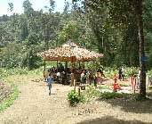 Kamojang adventure packages