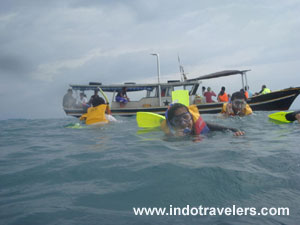 Snorkeling di pulau tidung