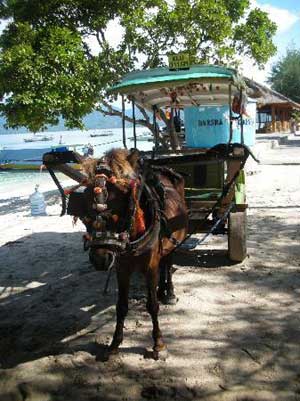 Transportasi Tradisional Lombok