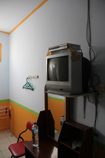 Penginapan Di Dataran Tinggi Dieng