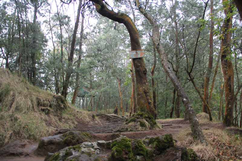 Telaga Warna Dieng